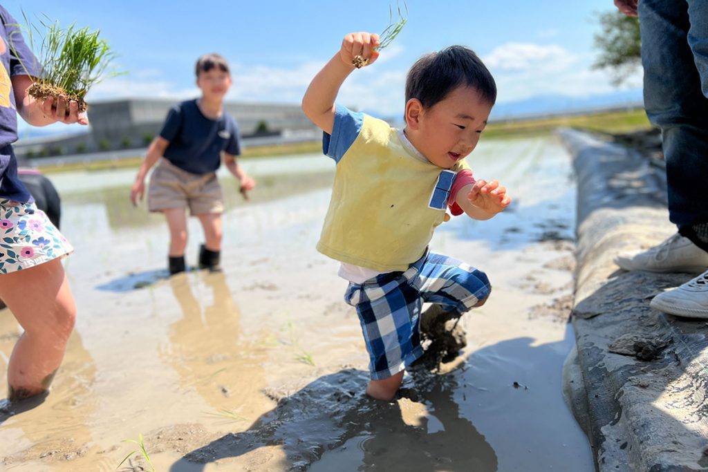 富山県砺波市　田植え　子ども