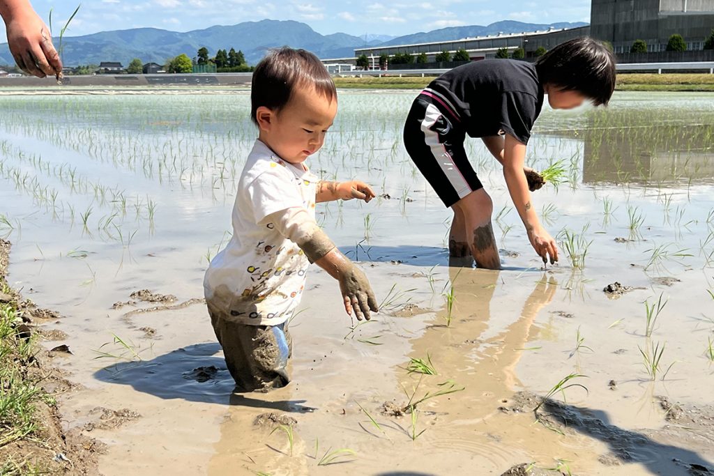 富山県砺波市　田植え　子ども