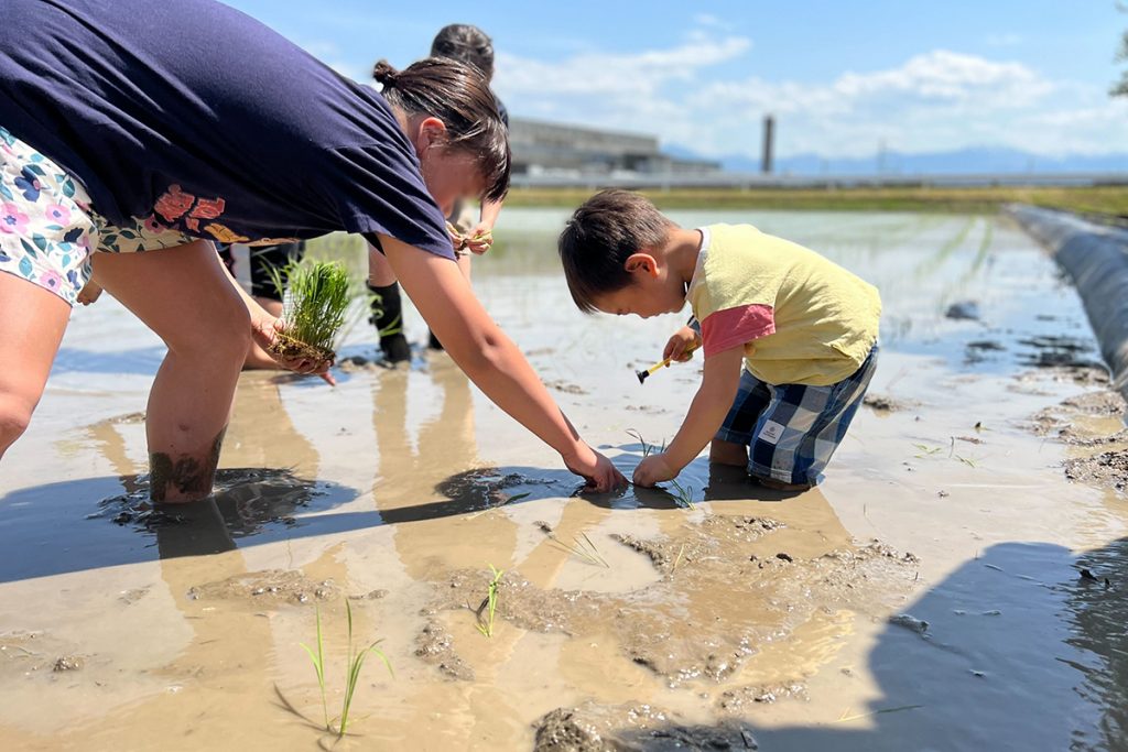 富山県砺波市　田植え　子ども