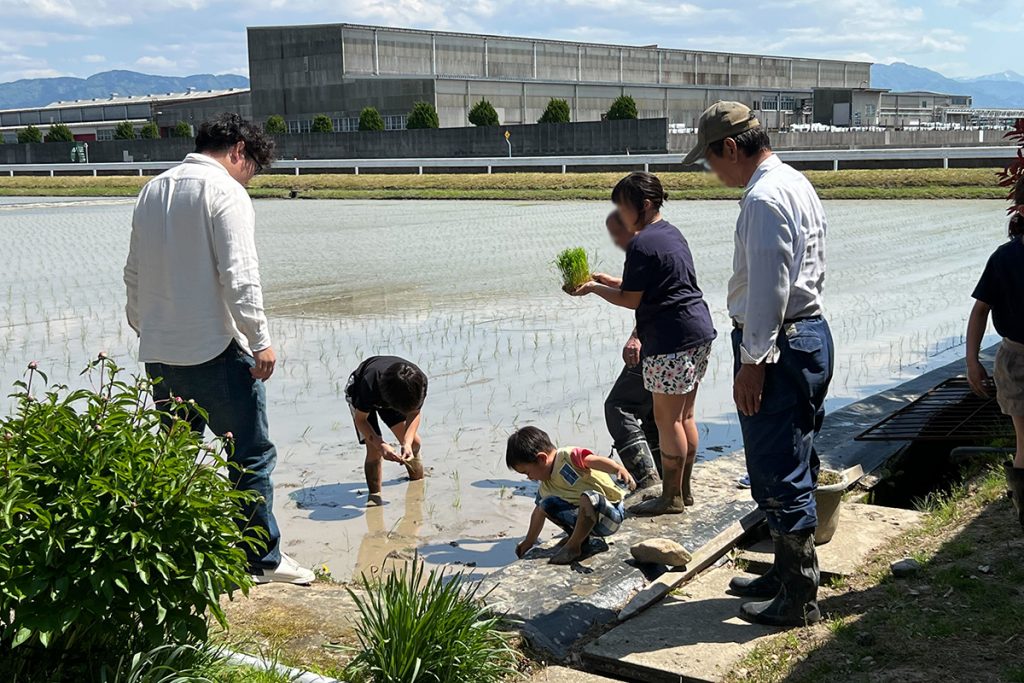 富山県砺波市　田植え　家族