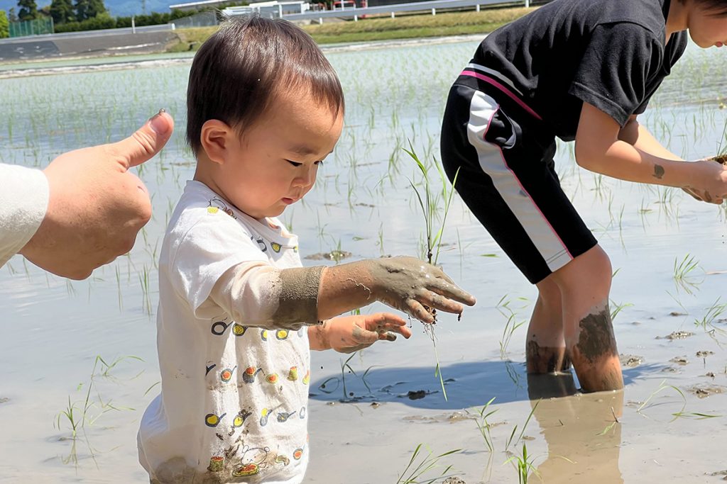 富山県砺波市　田植え　子ども