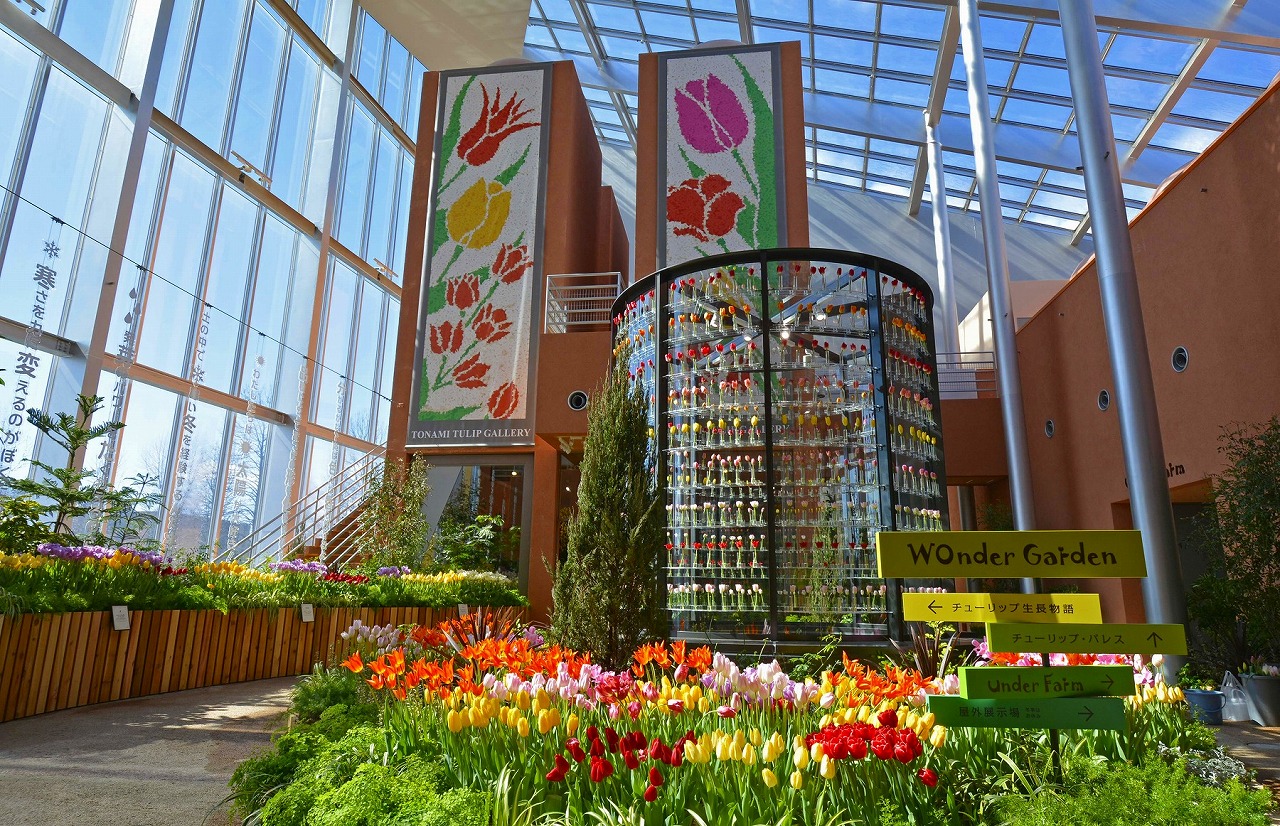 チューリップ四季彩館 - 砺波市役所